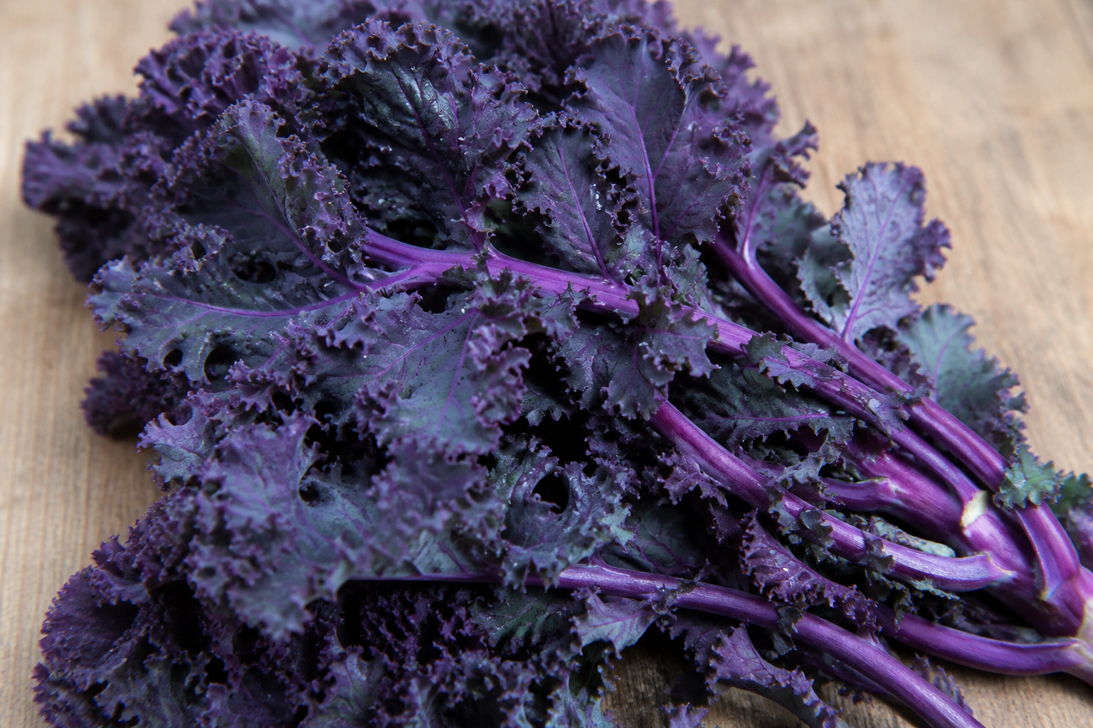 Red Russian Kale